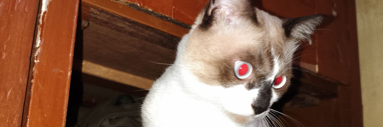 Barfjem's profile banner image