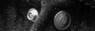 𝐇𝐚𝐝𝐢 banner