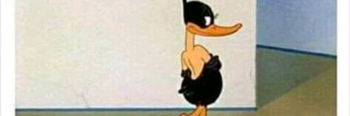 _michelep's profile banner image