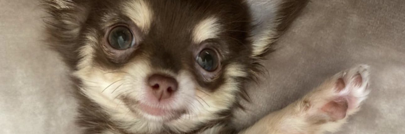 baaaaaauti's profile banner image