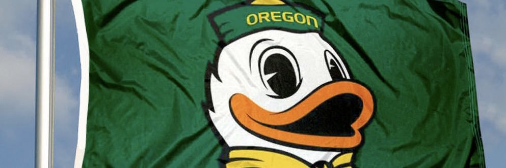 duckprt's profile banner image