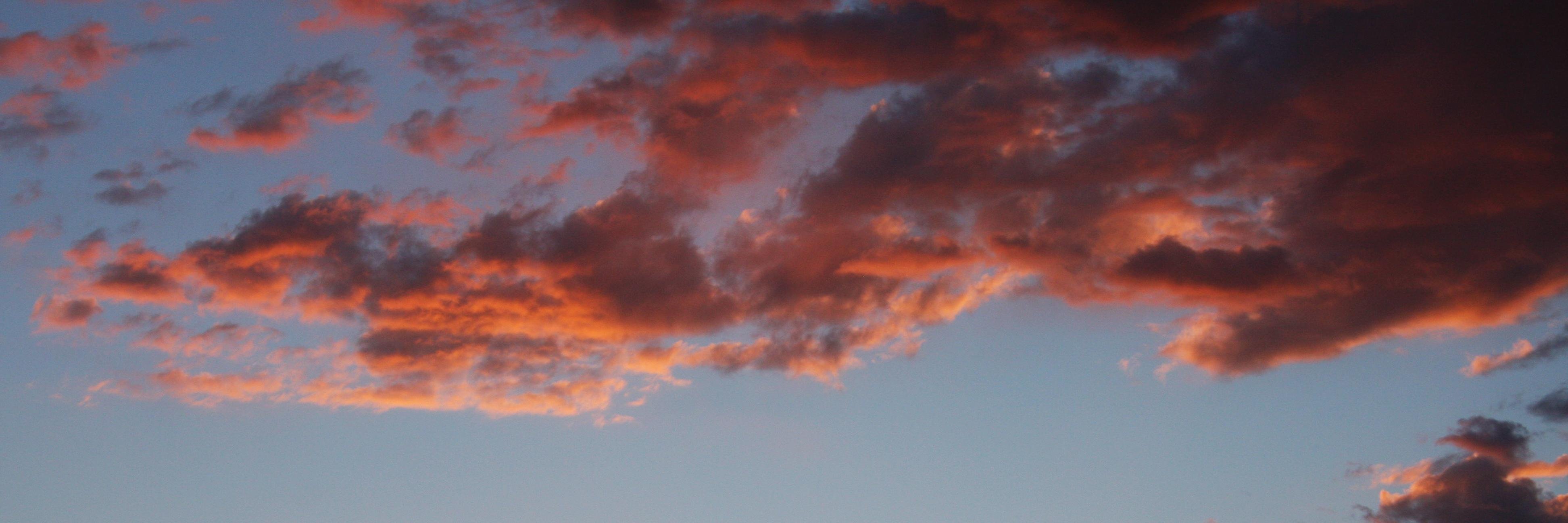 iMickeyD's profile banner image