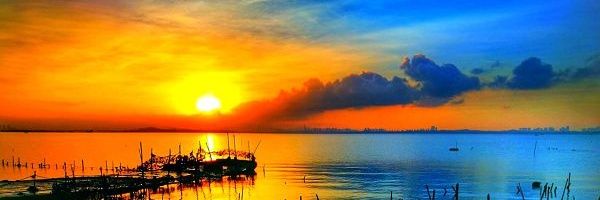 料理人萝卜 banner