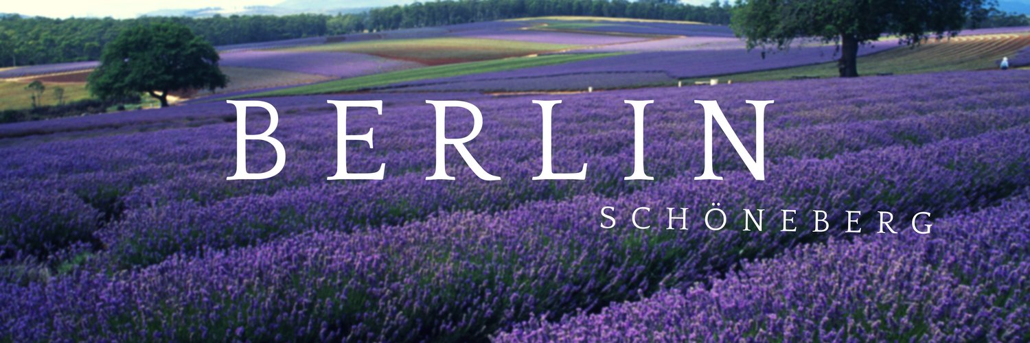 FrauBini's profile banner image