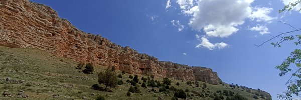 SDiazWWF Profile Banner