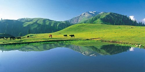 pakistantours's profile banner image