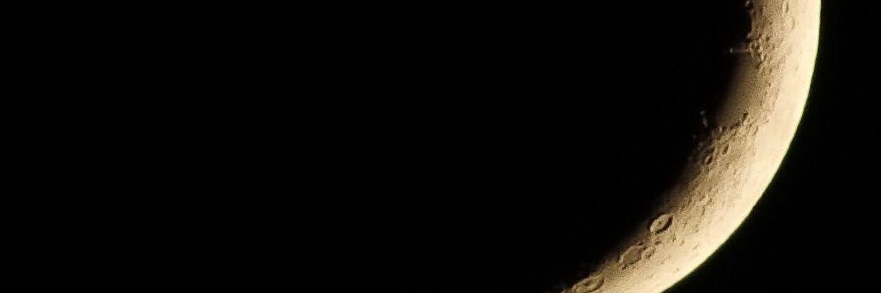 Alexandra Lewis banner