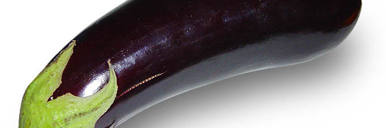 chary_stuj banner