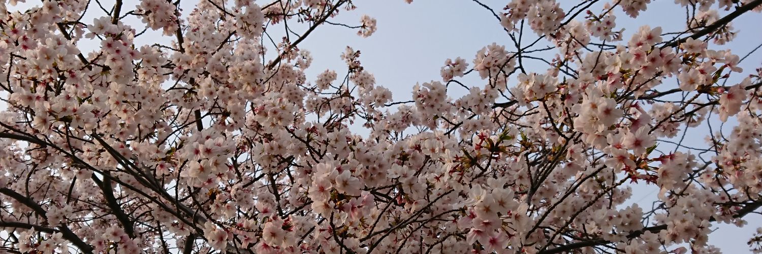 RidaYuka's profile banner image