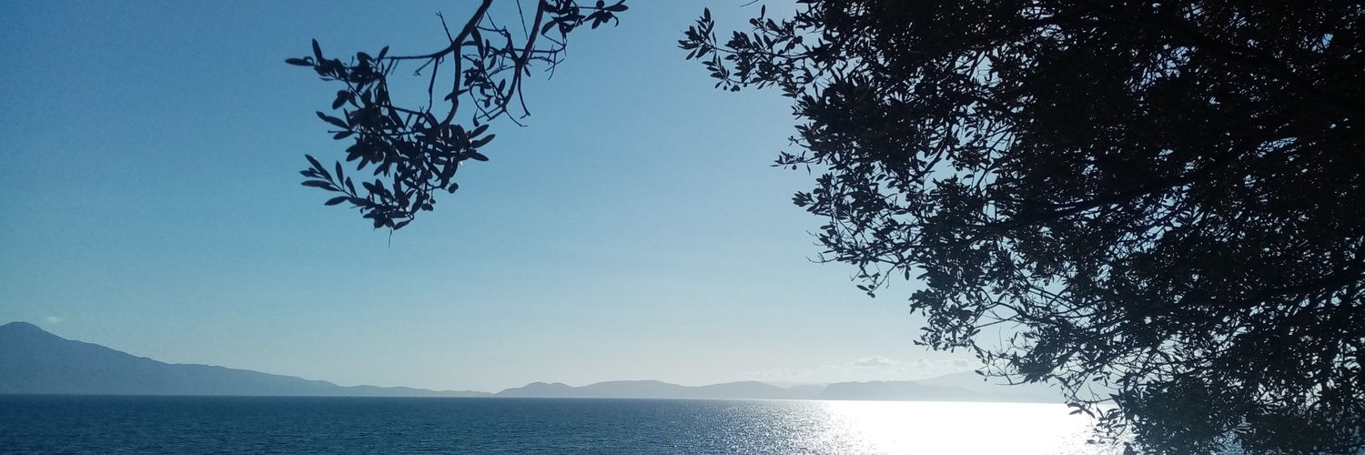 Saficaz's profile banner image