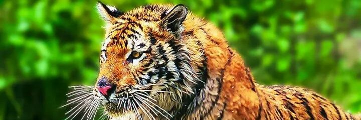 michael29297928's profile banner image