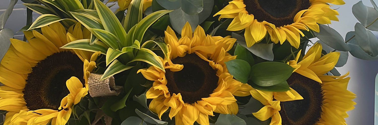 IsabelVictoriaT's profile banner image