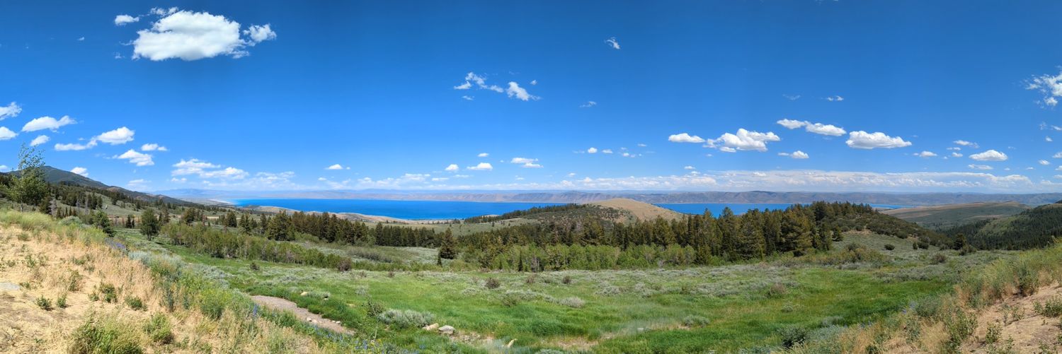 Emily Coleman banner