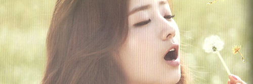 BAPunkYJay's profile banner image
