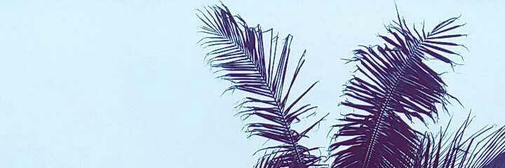 iDaisyMtz's profile banner image