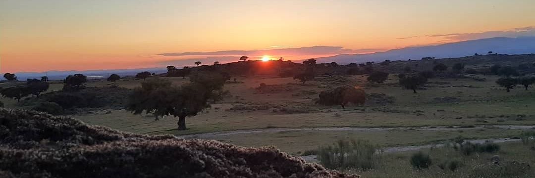 Cristina Méndez García banner