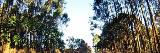 s_lacerda's profile banner image