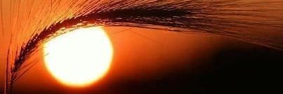 Precious Adeife banner