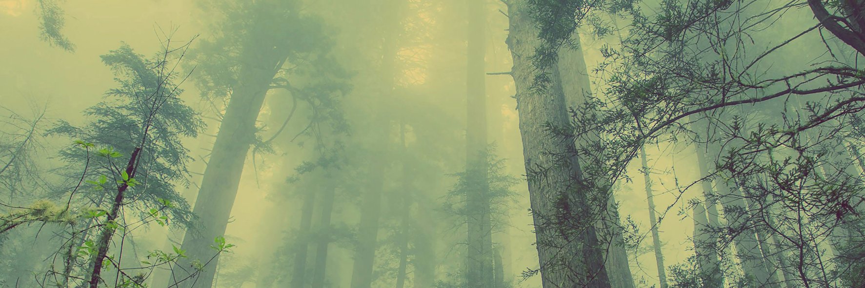 cvanderlinden's profile banner image