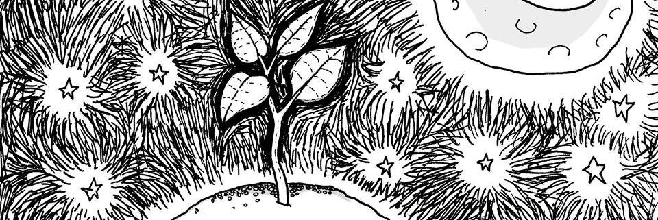 fsiutti's profile banner image