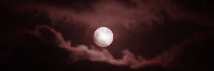 𝓅 banner