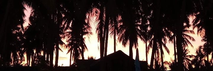 slmjav's profile banner image