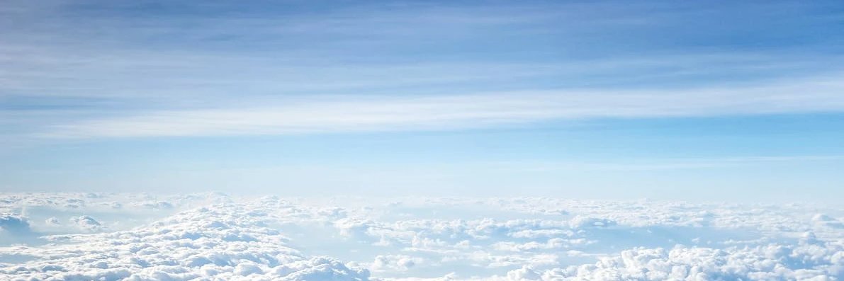 Milliner Wiley banner