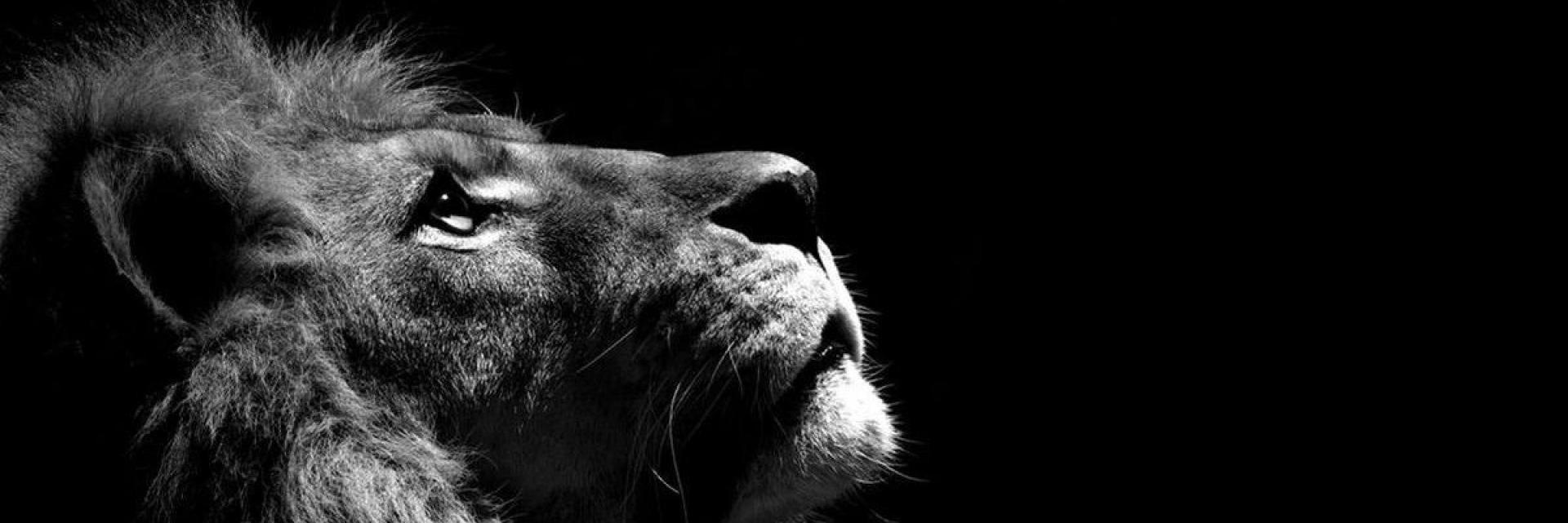 RealArthurSilva's profile banner image