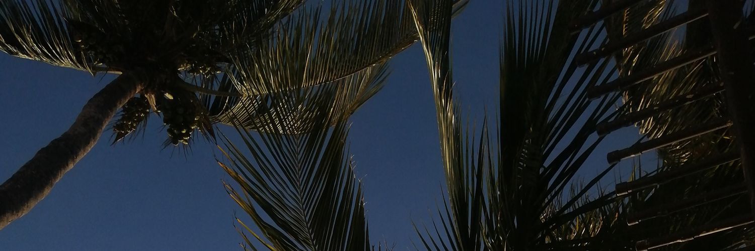 Gabs_land's profile banner image