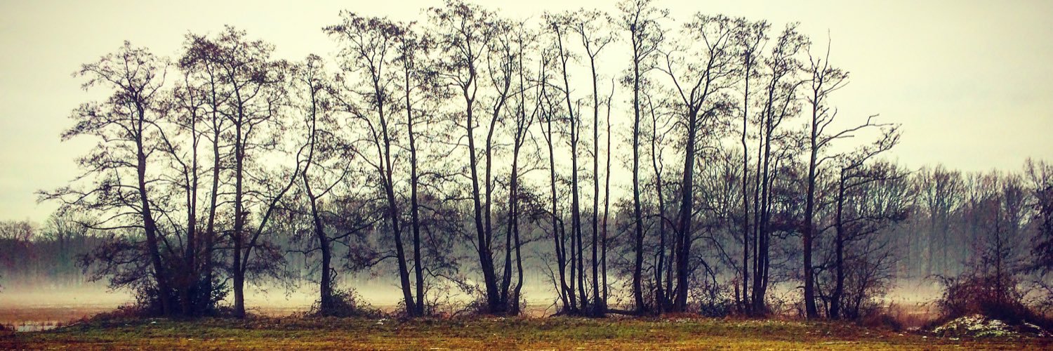 PVesters's profile banner image