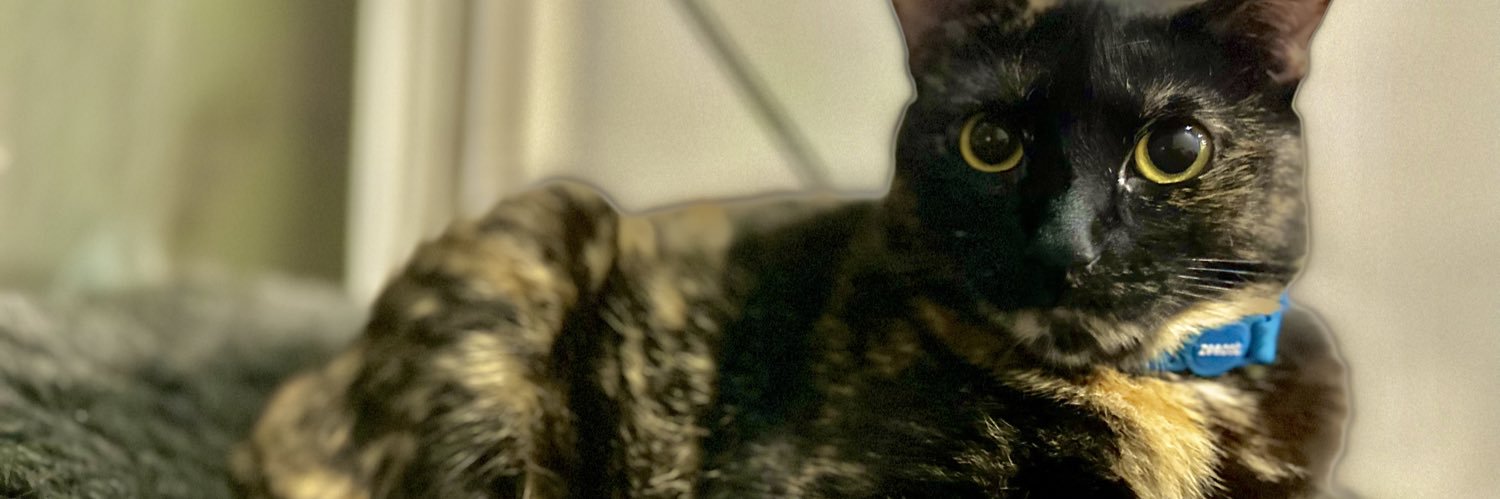 _LaCrespa_'s profile banner image