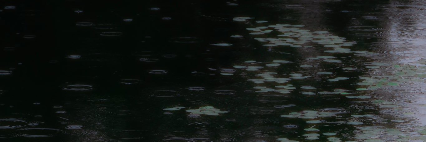 identikit___'s profile banner image
