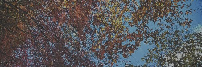 pe_gd's profile banner image