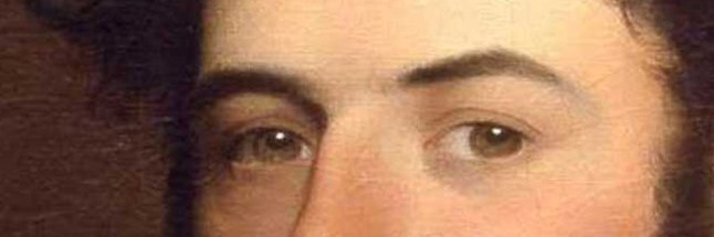 OrnitheInFlight banner