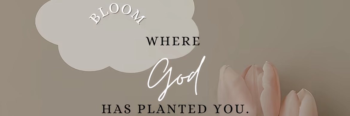 𝓒𝓮𝓮𝓳 ✨ banner