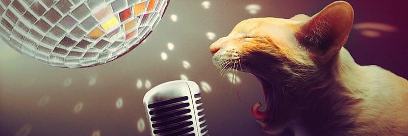 Nostragatus ✌🐱🔮🏳️‍🌈 banner