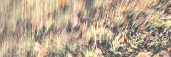 alexmattm Profile Banner