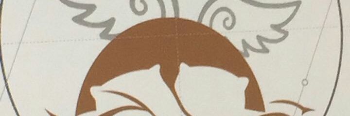 Soft-Ajebo™ PHD banner