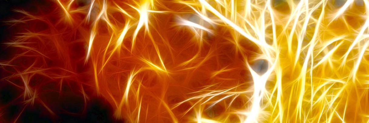 Team Leos ™ banner