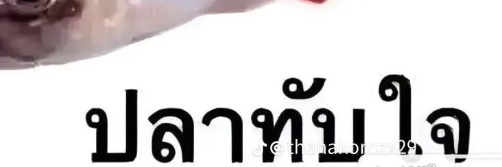 nomathipano1's profile banner image