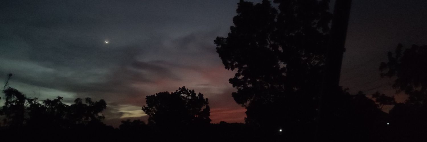 Ivoriee 😽 banner