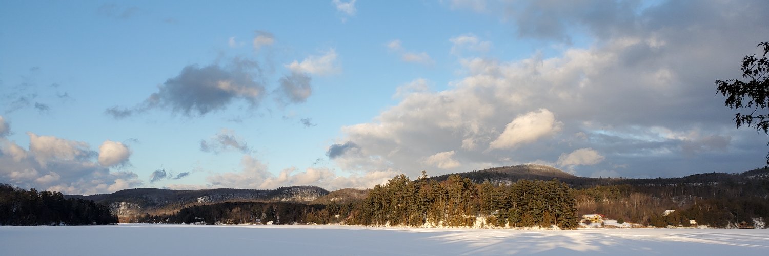 Rabbi Dara Lithwick (she, her, hers) banner