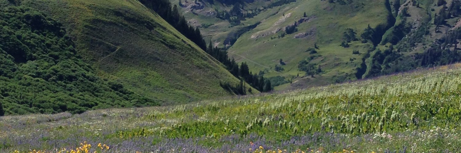 radar24's profile banner image