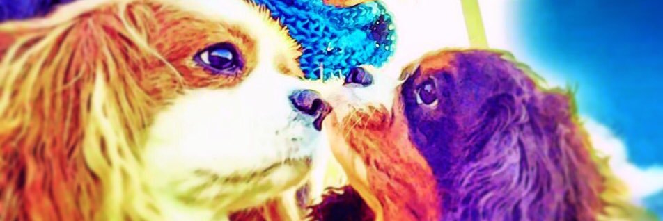 number0805's profile banner image