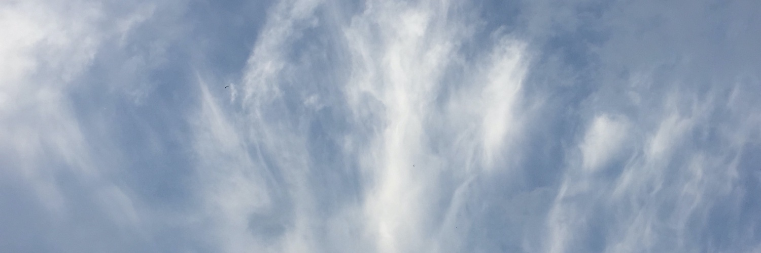ilmaputeri's profile banner image