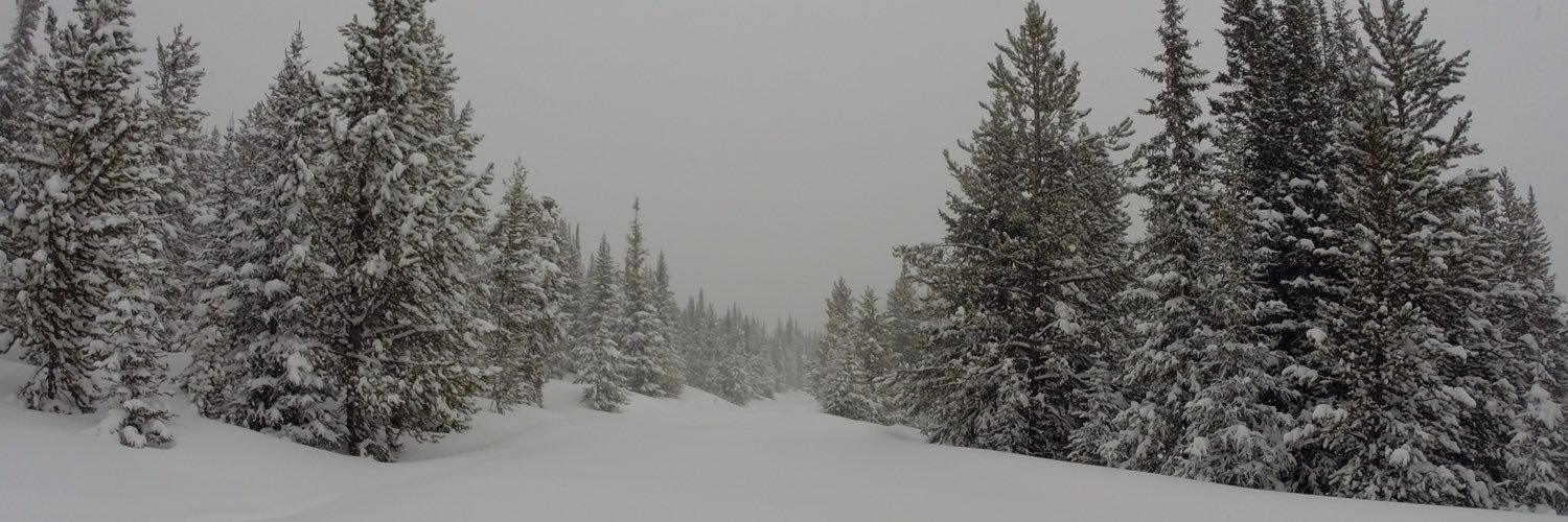 MadtownEK's profile banner image