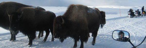 katiebakes Profile Banner