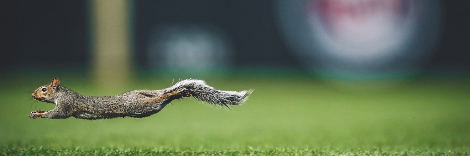 TwinsSquirrel's profile banner image
