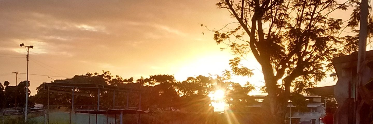 Daniel_samn's profile banner image