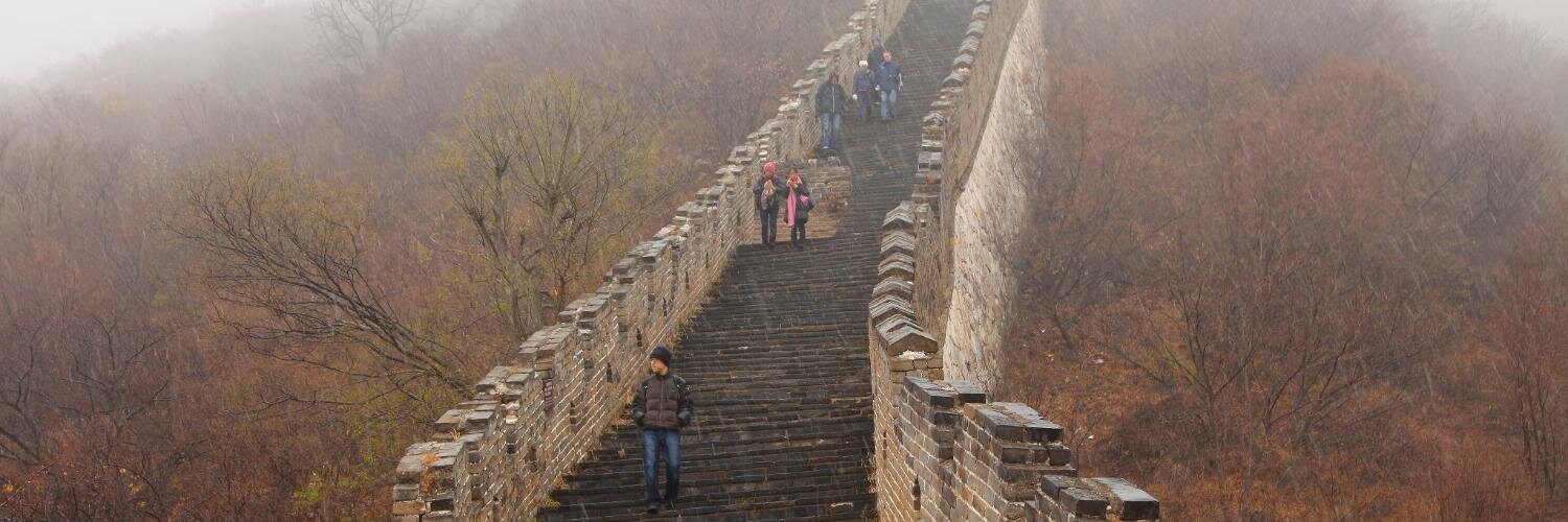 David McLaughlin banner